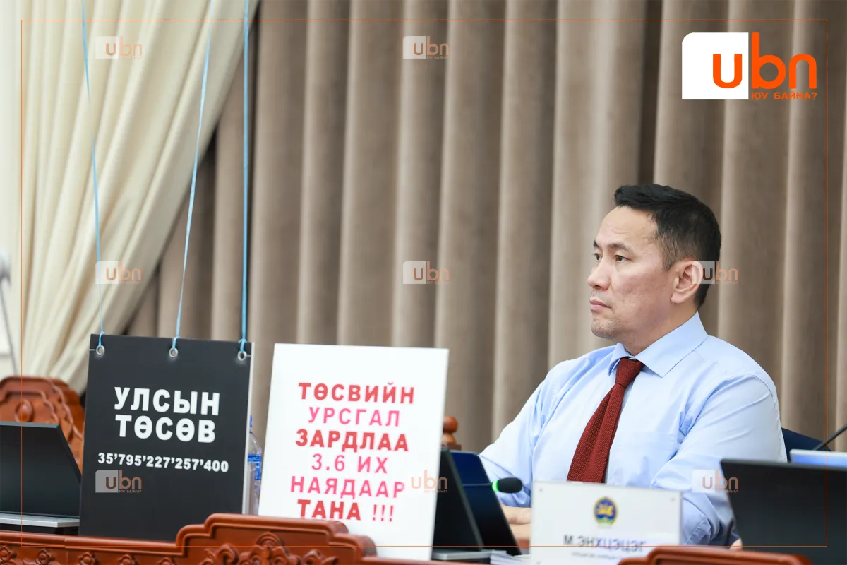 Д.Энхтүвшин: Татварын өрөөс болж ДАНС ХААДАГ арга хэмжээ 5 жилийн дотор 30 дахин нэмэгдсэн