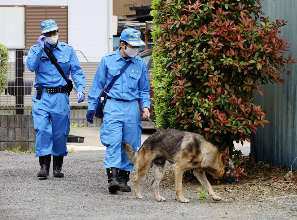 legacy:hereglesen zurag/tokyo police and dog.jpg
