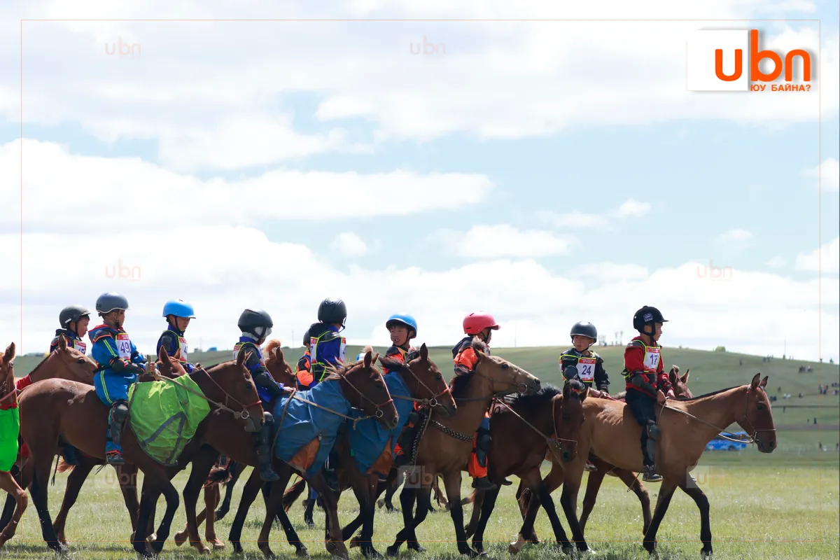 legacy:Naadam2026/Mori/daaga/32.png