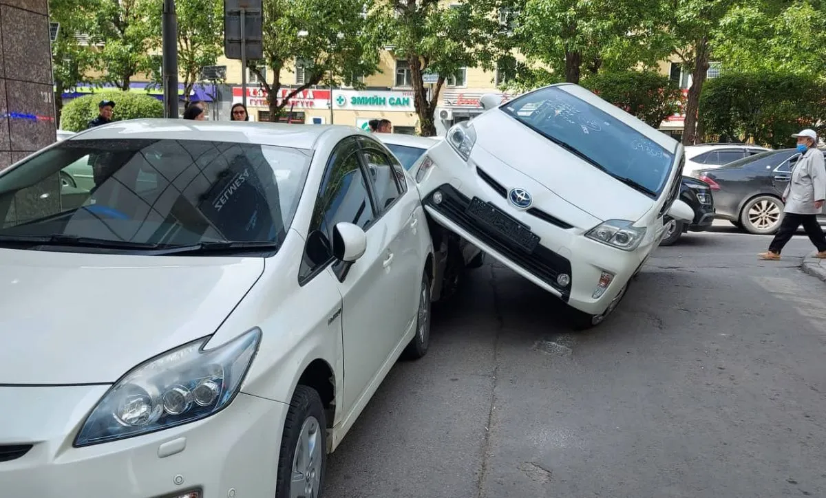 ТЦА: Ослын шалтгааныг тодруулахаар ажиллаж байна
