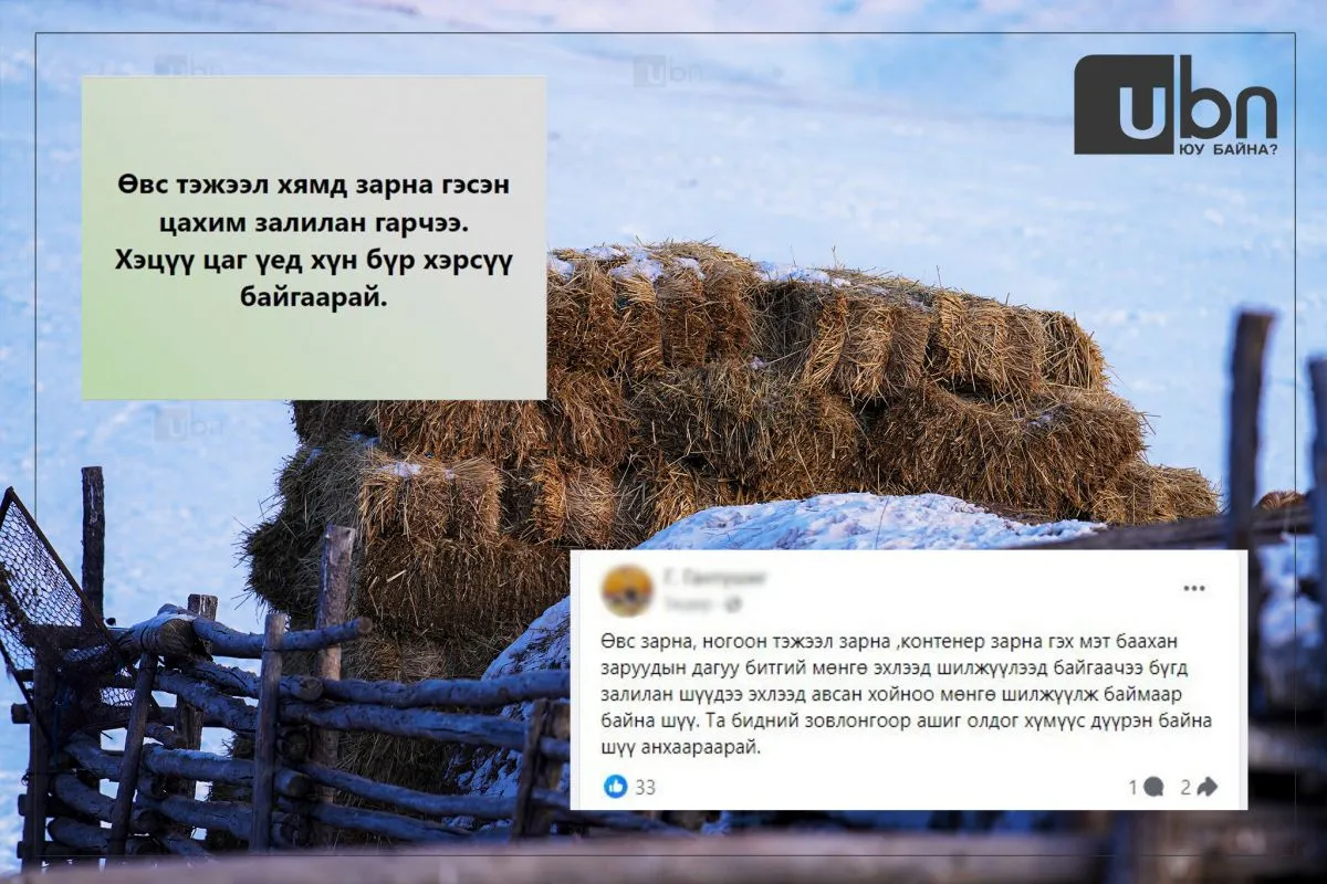 legacy:zud/uvs tejeel zalilan/zz.jpg