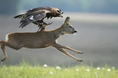 legacy:resources/images/photo_content/22e21df89fff714ff7c92fa324cf8b2f-2020-07-25-095234-1293502687.jpeg