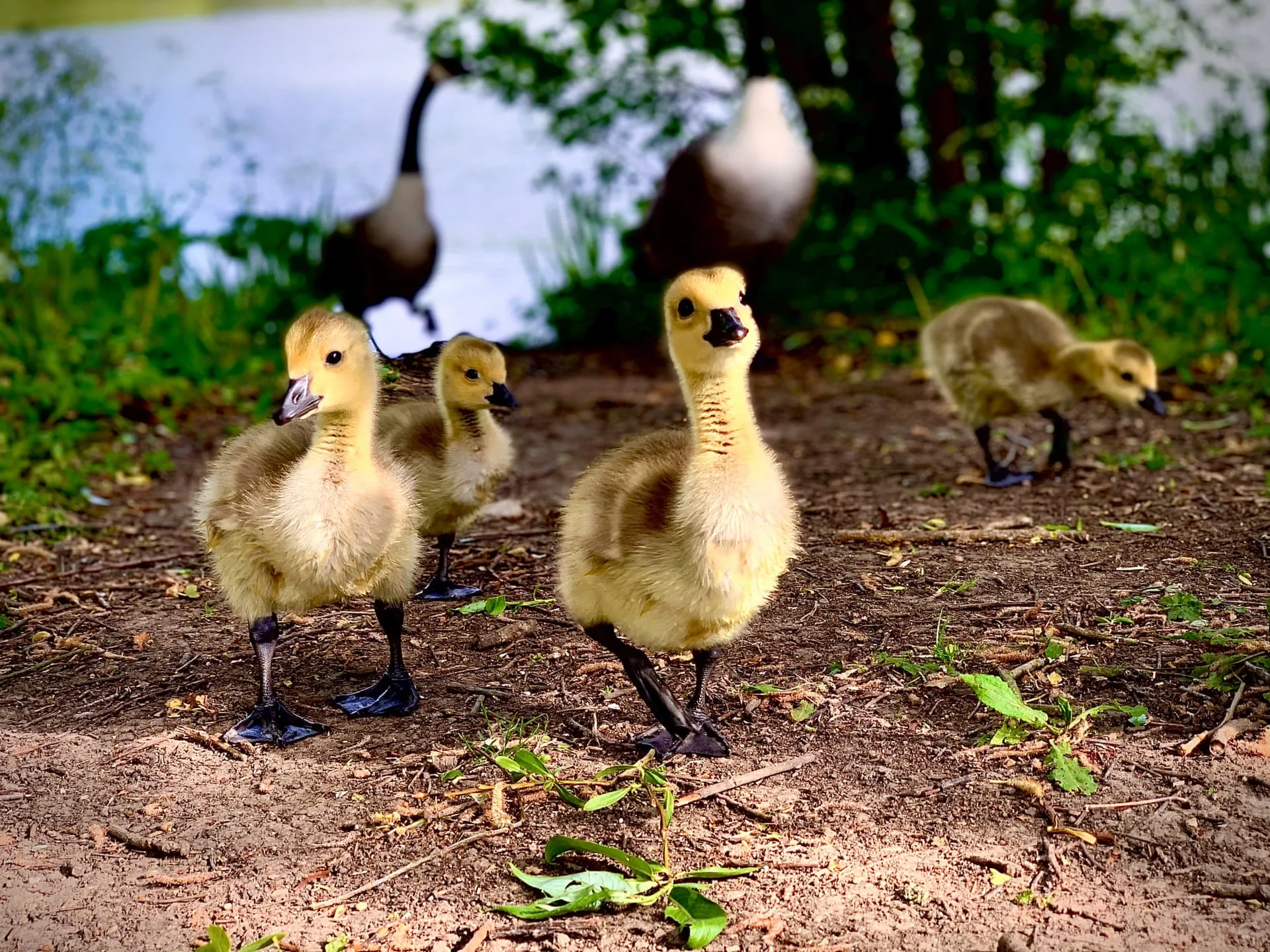 legacy:resources/images/photo_content/08-2020-10-09-184439-2039368773.jpeg