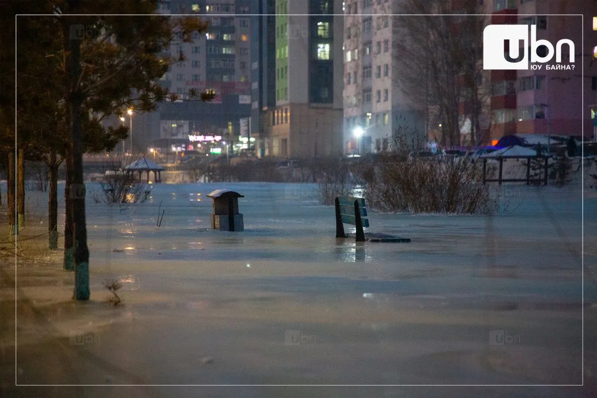 Жил бүр халиа тошингоос урьдчилан сэргийлэх ажилд 300 сая төгрөг төсөвлөдөг