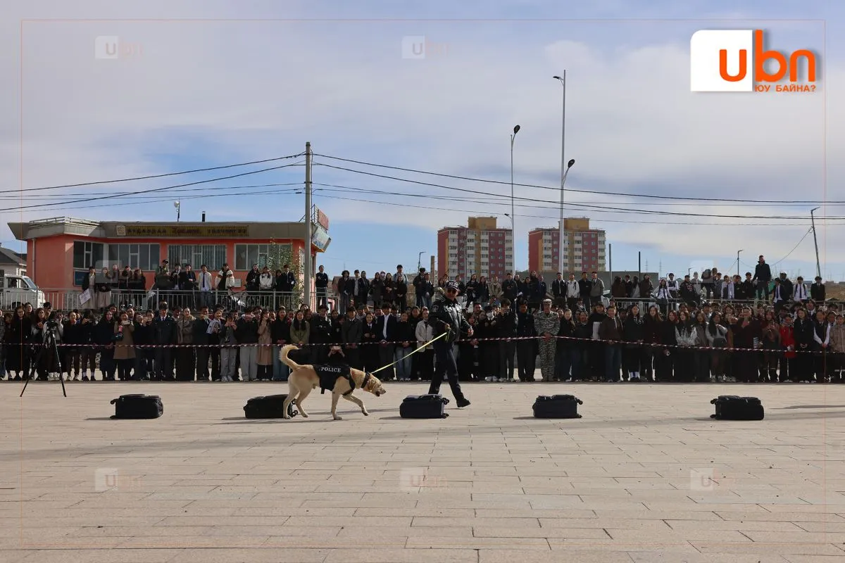 legacy:схд эмтөв/zolooITKh/13.JPG