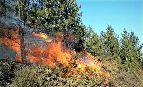Булган аймагт гарсан түймрийг бүрэн унтраажээ