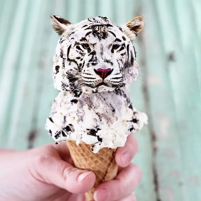 legacy:upload/images/ni/2020/08/01/This-digital-artist-keeps-transforming-animals-into-anything-78-New-Pics-5f21131646545__700-115910-1656625980.jpeg