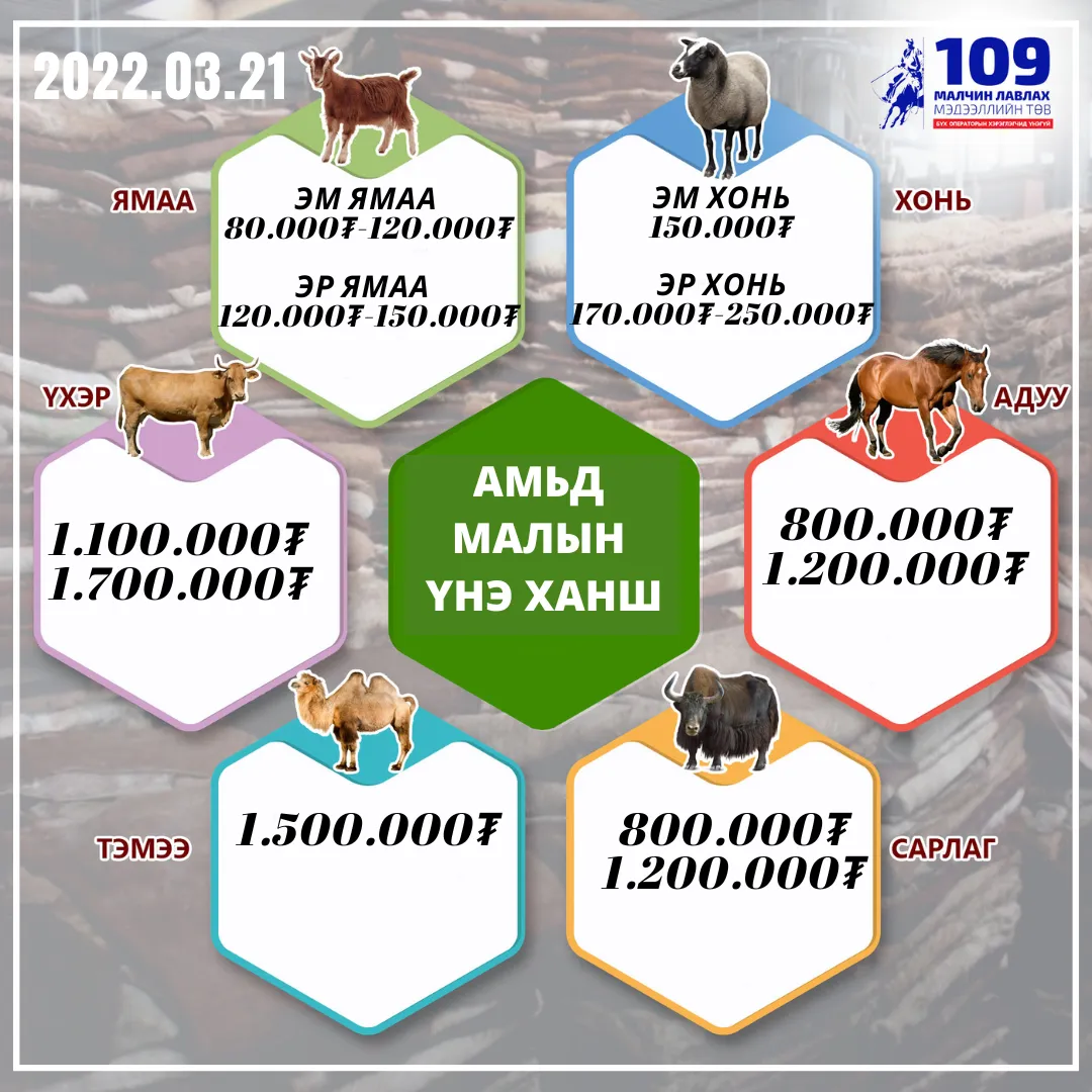 legacy:ноолуур/276995059_1164281354332562_3303541445894858421_n.png