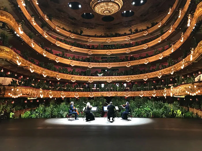 legacy:upload/images/ni/2020/06/25/barcelona-opera-house-reopens-plays-to-plants-45-161724-724783482.jpeg
