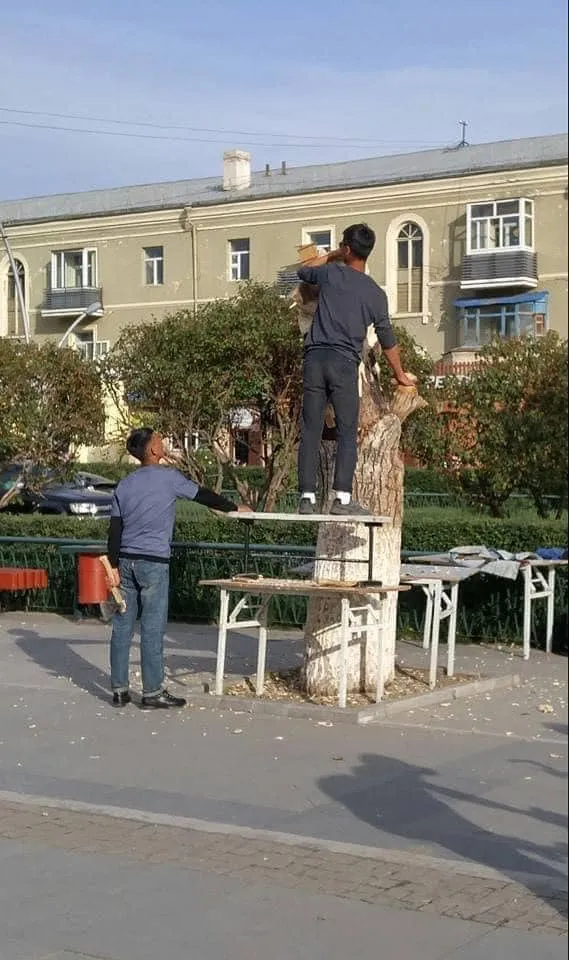 Н.Батсүмбэрэл: Мод сүйтгэж буй зураг нь 2017 онд СУИС-ийн оюутнуудын сийлбэр хийж үлдээсэн зураг