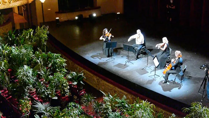 legacy:upload/images/ni/2020/06/25/barcelona-opera-house-reopens-plays-to-plants-50-162047-1923750090.jpeg
