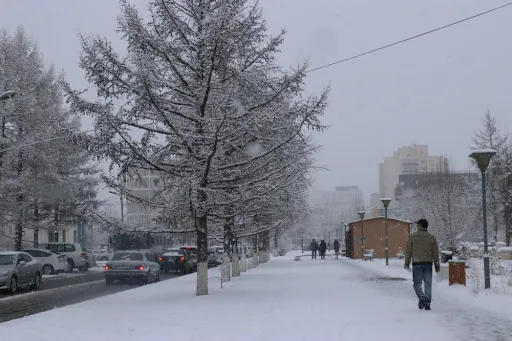 СЭРЭМЖЛҮҮЛЭГ: Энэ сарын 15-17-ны өдрүүдэд ихэнх нутгаар хүчтэй цасан болон шороон шуурга шуурна