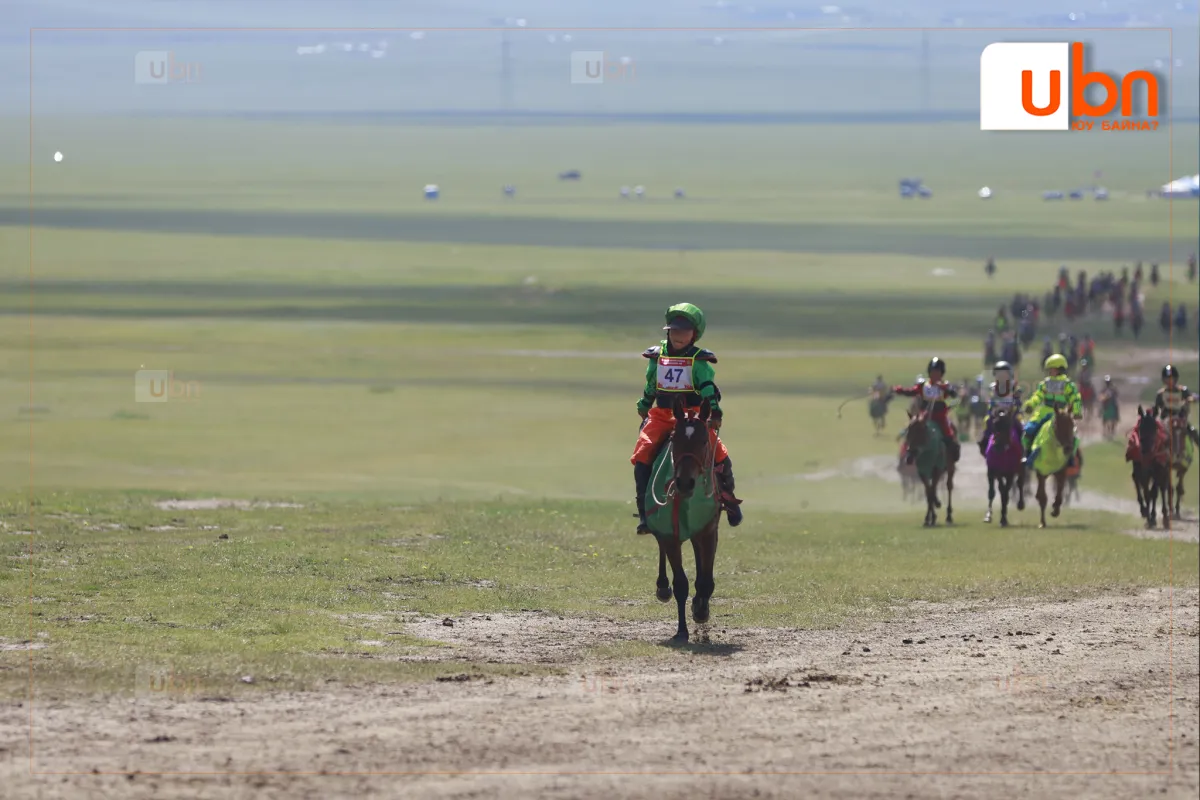 legacy:Naadam2026/Mori/daaga/31.png