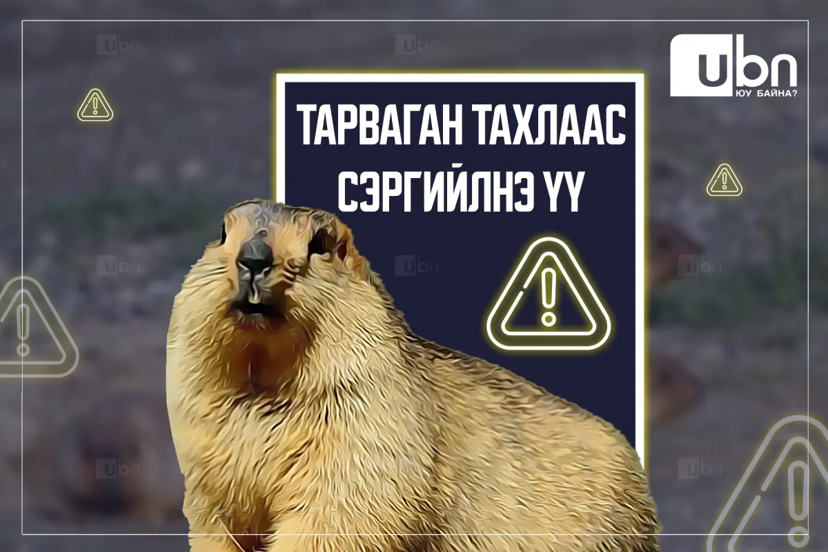 Ховд аймагт бүртгэгдсэн тарваган тахлын сэжигтэй тохиолдол батлагдаж, 1-р хавьтлын 12 иргэний PCR шинжилгээ сөрөг гарлаа