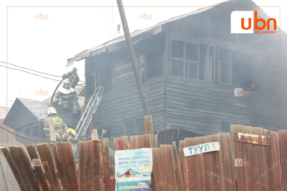 legacy:нобг/gal 1.jpg