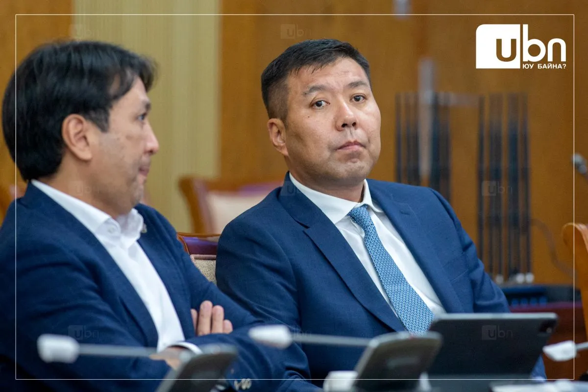 ИНФОГРАФИК: Хөгжлийн банкнаас зээл авсан компаниуд зээлээ хэрхэн ЗОРИУЛАЛТ БУСААР зарцуулсан бэ